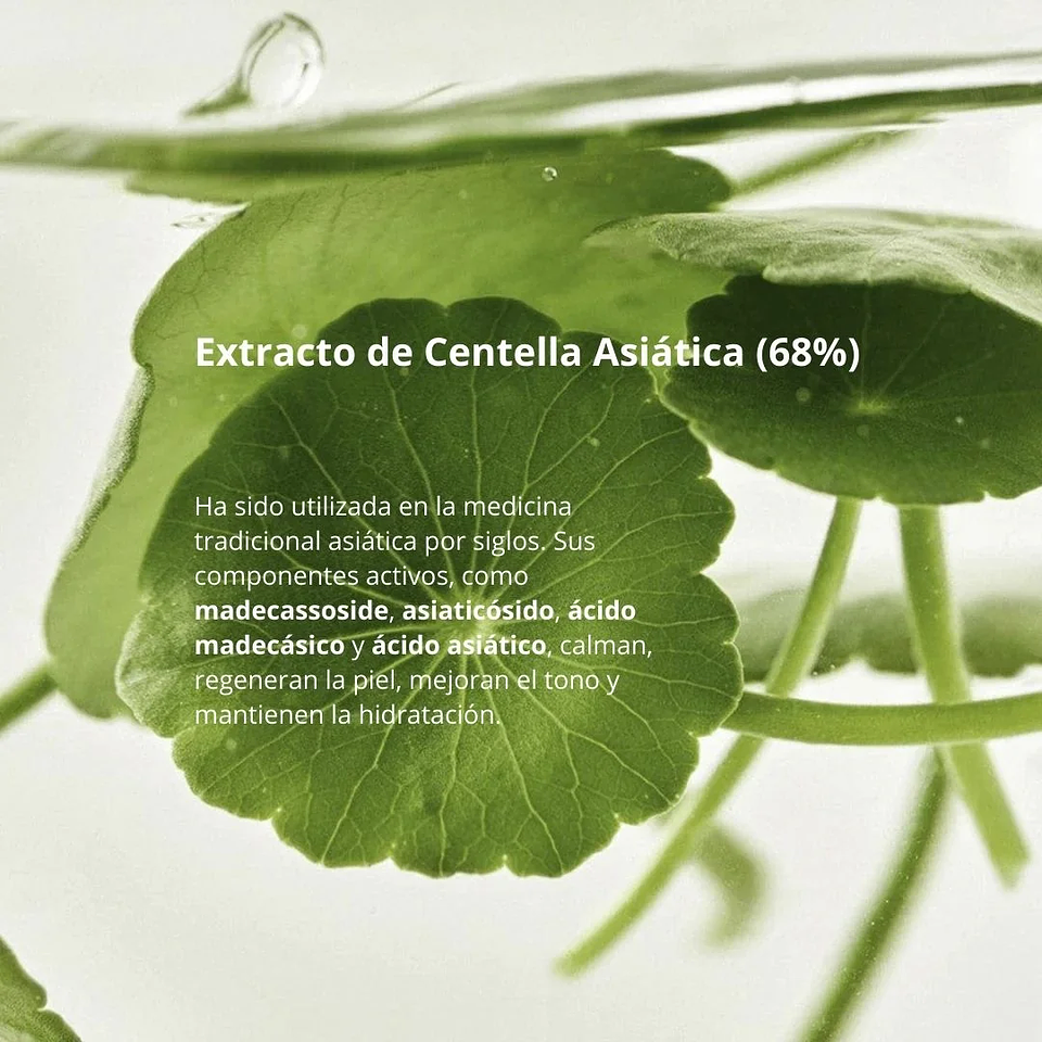 Serum Light on Serum Centella + Vita C 30ml 7