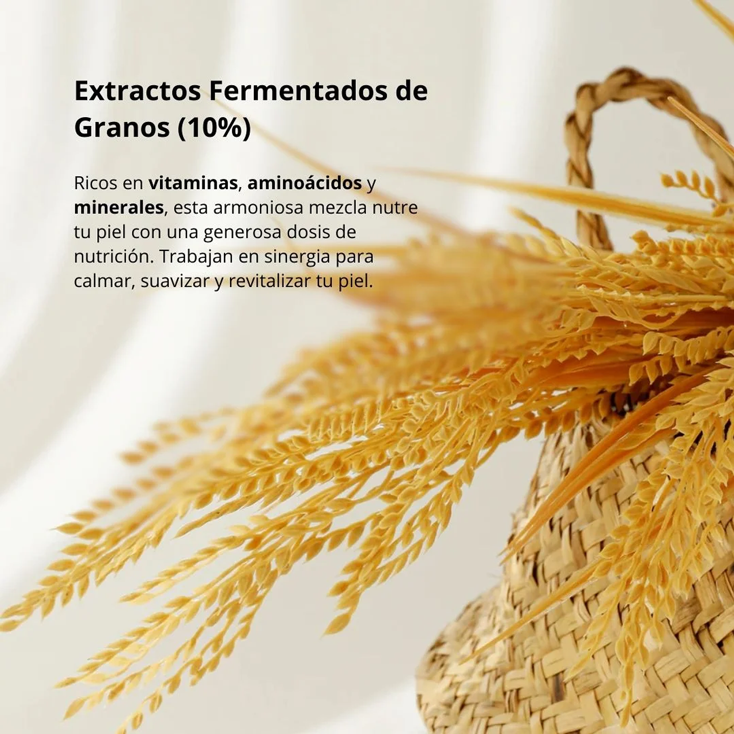 Protector Solar Relief Sun Rice + Probiotics 50ml 5