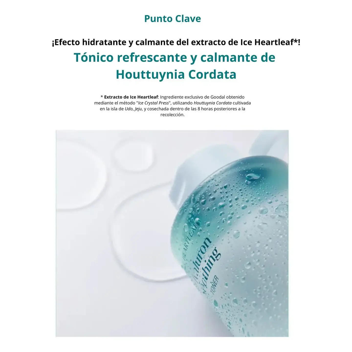 Tónico Houttuynia Cordata Hyaluron Soothing Toner 350ml 4