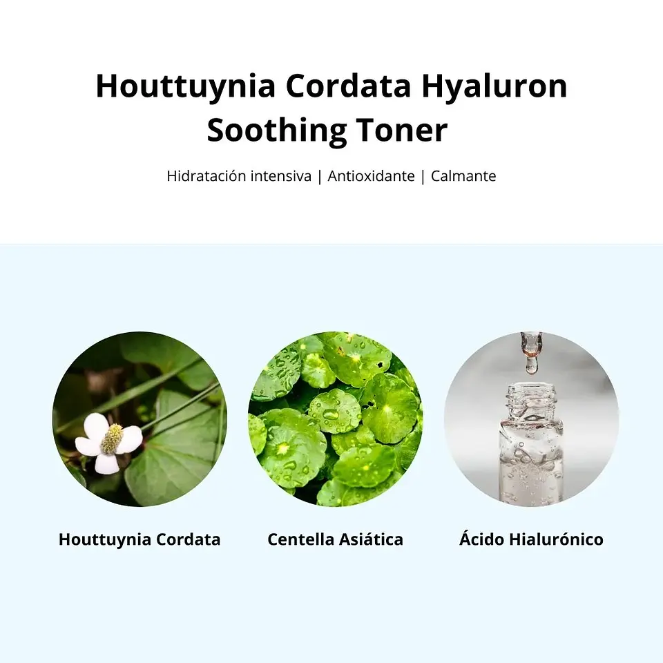 Tónico Houttuynia Cordata Hyaluron Soothing Toner 350ml 10