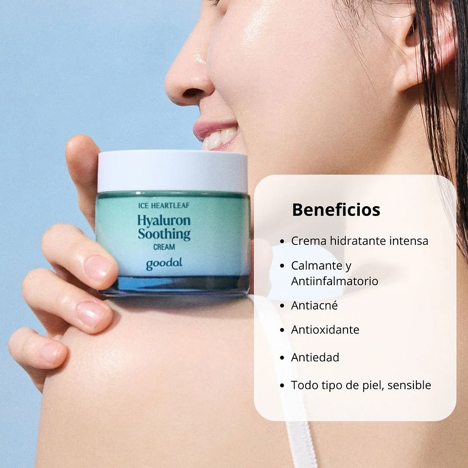 Crema Hidratante Houttuynia Cordata Hyaluron Soothing Cream 75ml 2