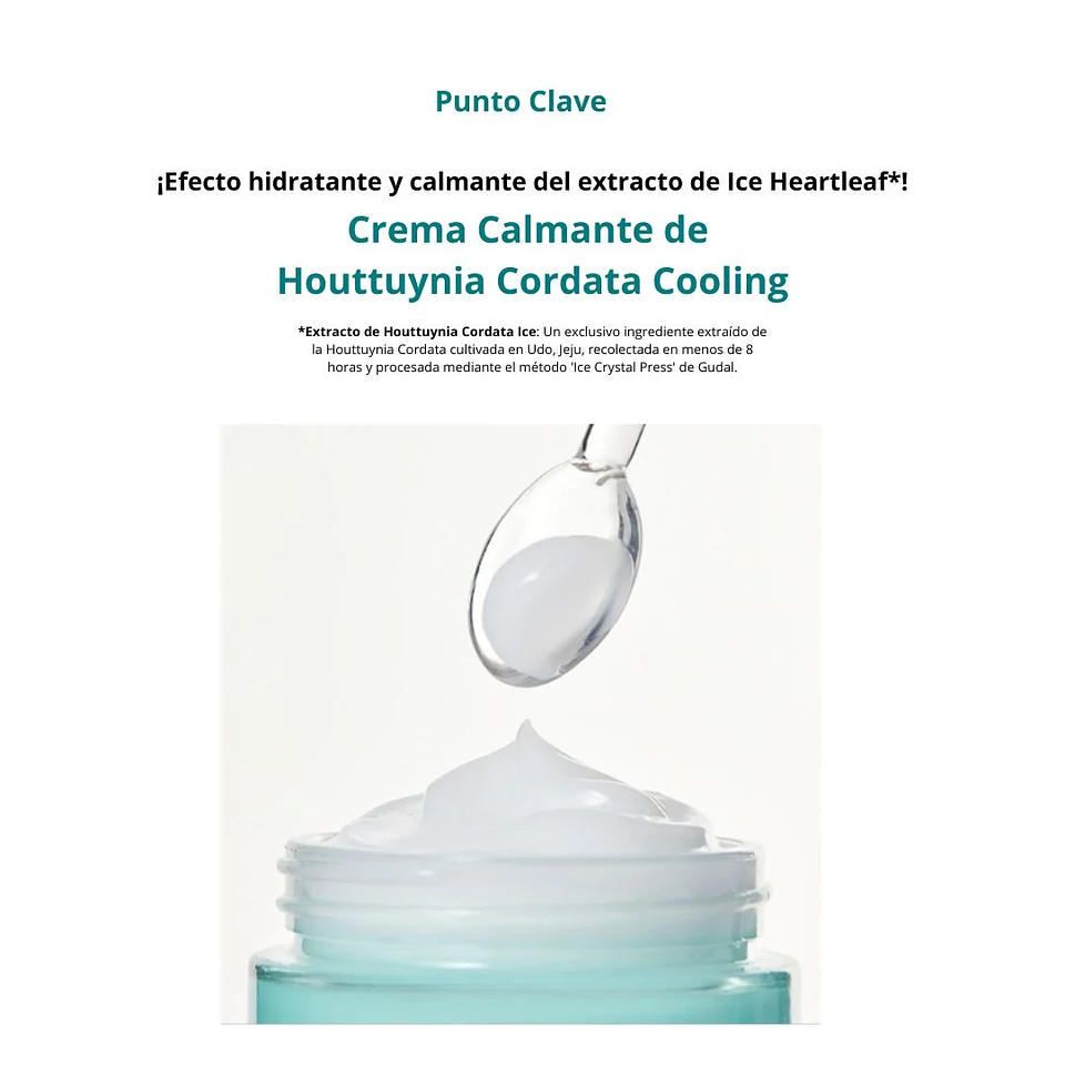 Crema Hidratante Houttuynia Cordata Hyaluron Soothing Cream 75ml 3