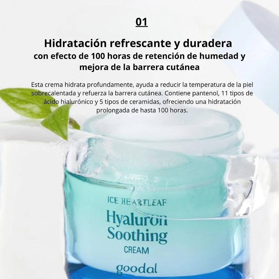 Crema Hidratante Houttuynia Cordata Hyaluron Soothing Cream 75ml 6