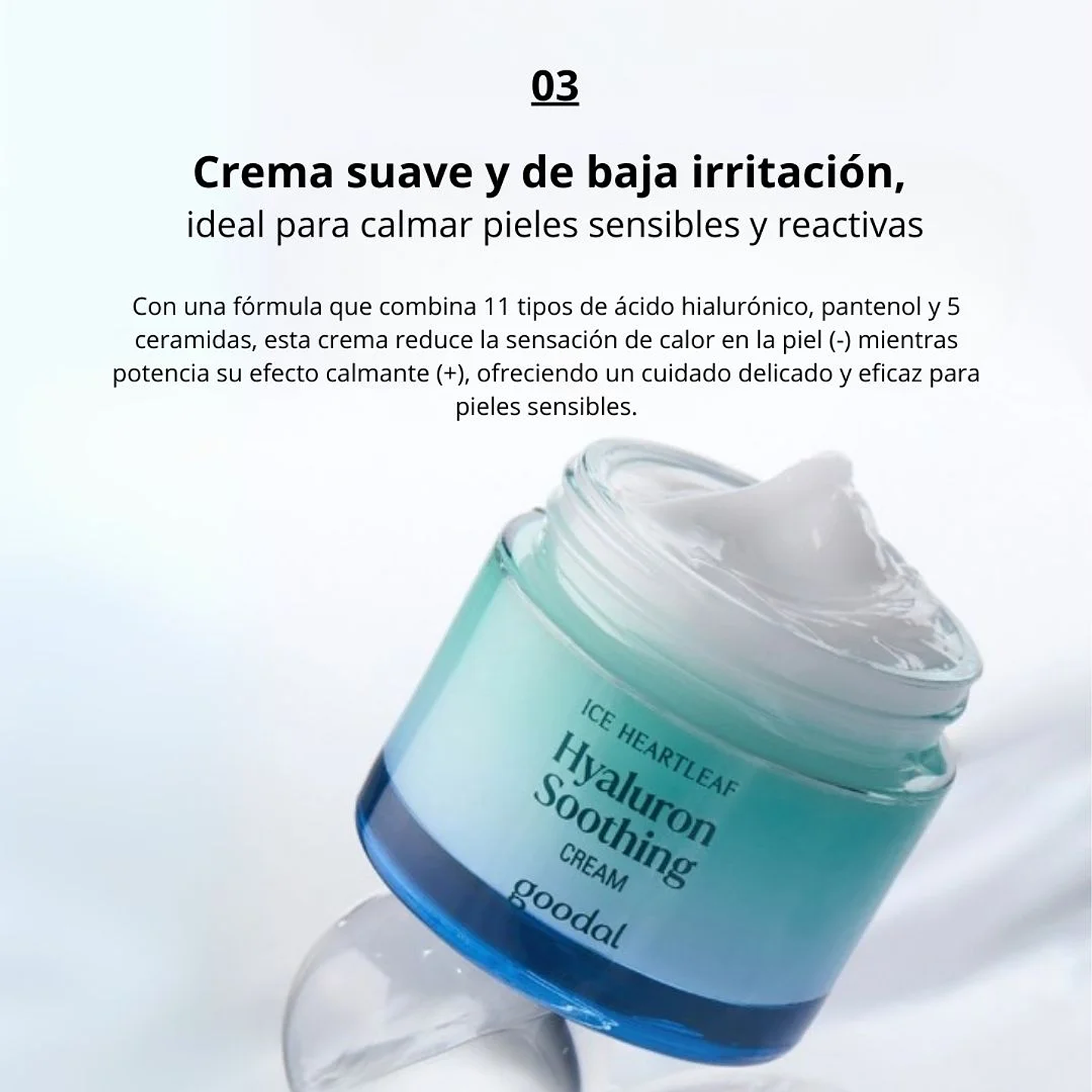 Crema Hidratante Houttuynia Cordata Hyaluron Soothing Cream 75ml 8