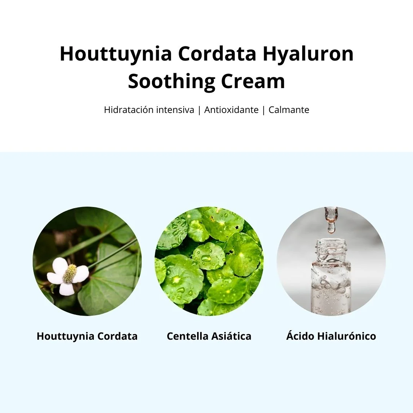 Crema Hidratante Houttuynia Cordata Hyaluron Soothing Cream 75ml 9