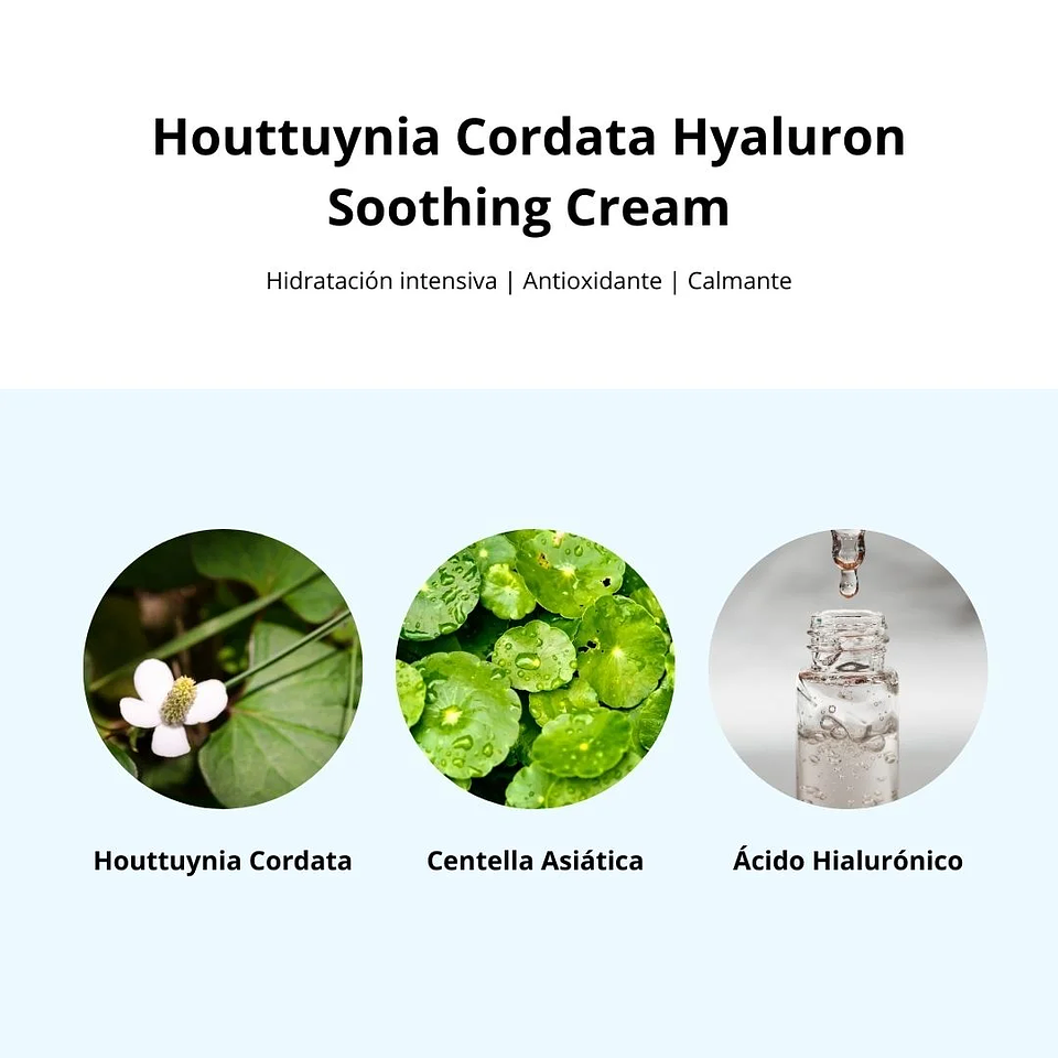 Crema Hidratante Houttuynia Cordata Hyaluron Soothing Cream 75ml 9