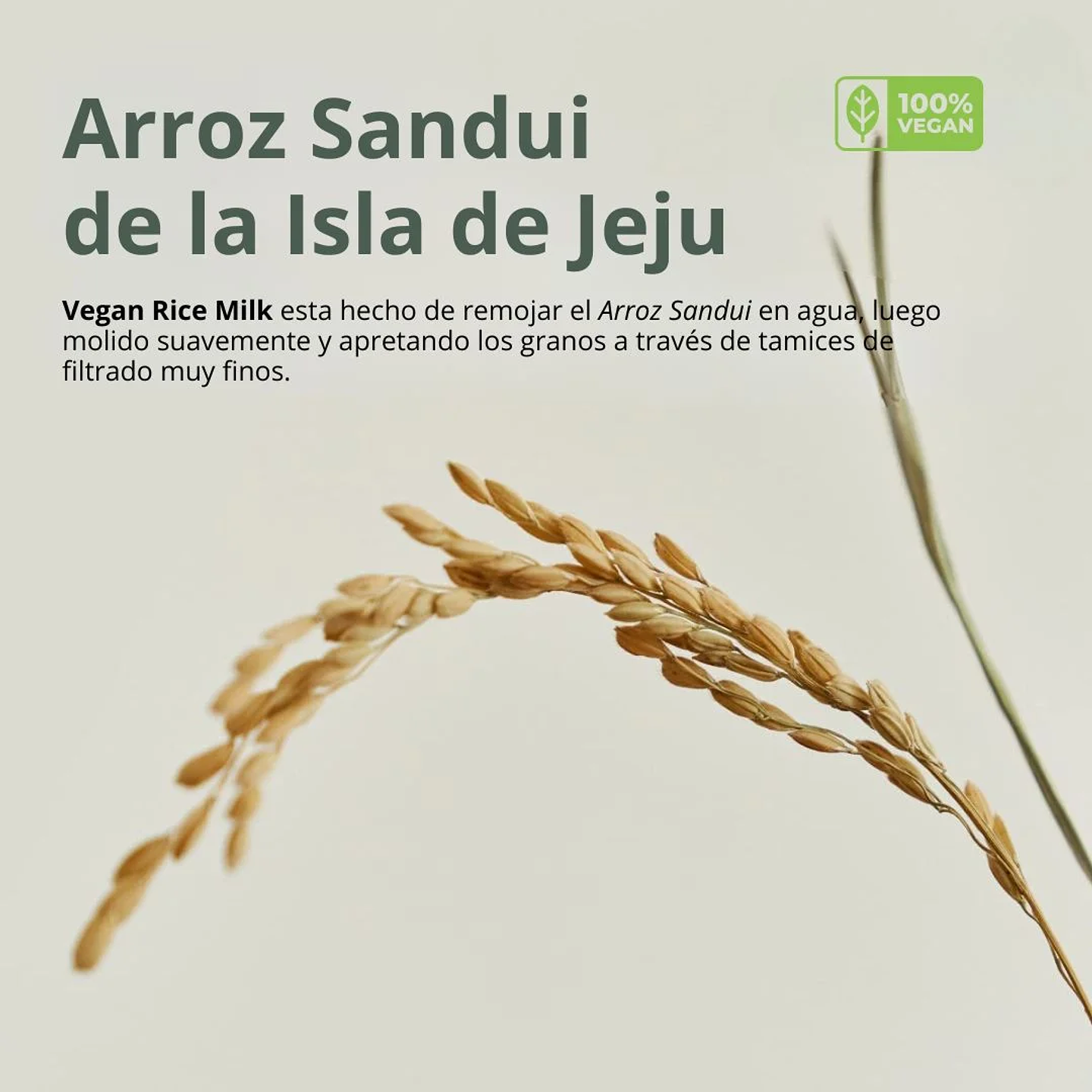 Tónico Vegan Rice Milk Moisturizing Toner 250ml 6