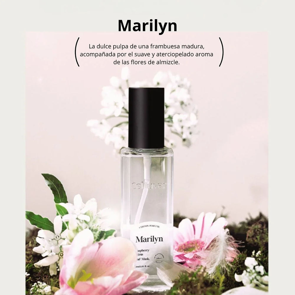 Perfume Chiffon Perfume Marilyn EDP 80ml