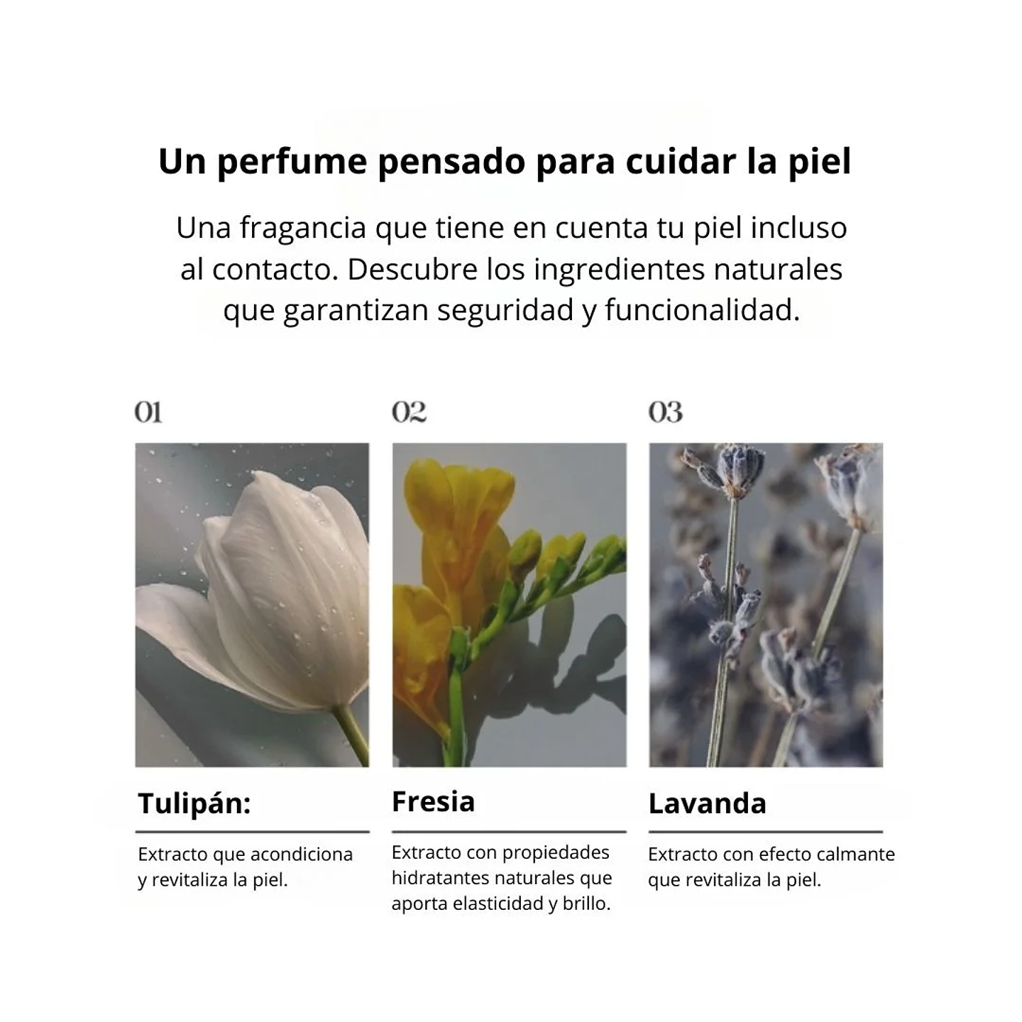 Perfume Chiffon Perfume Taylor EDP 80ml 5