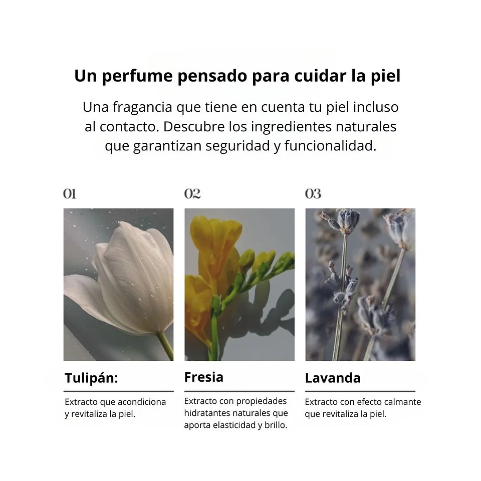 Perfume Chiffon Perfume Taylor EDP 80ml 5