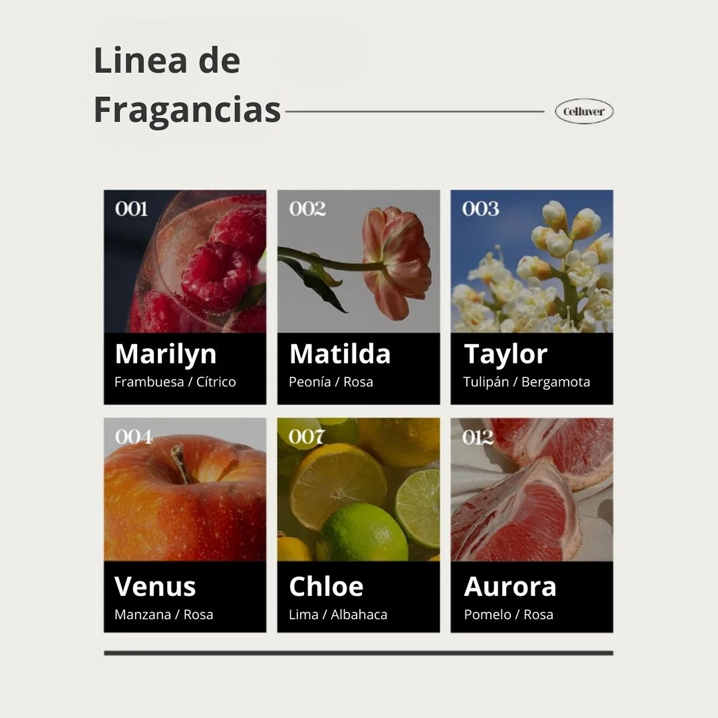 Perfume Chiffon Perfume Taylor EDP 80ml 6