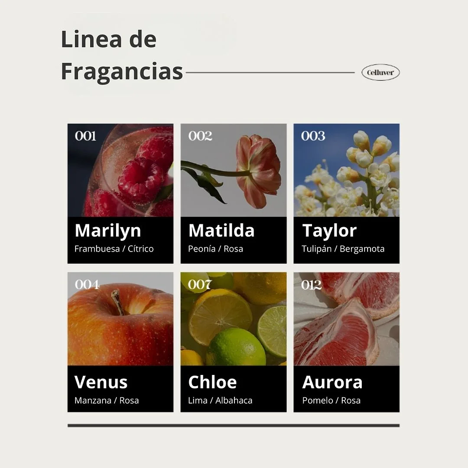 Perfume Chiffon Perfume Taylor EDP 80ml 6