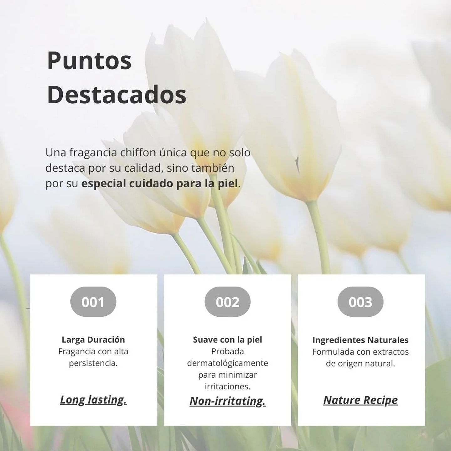 Perfume Chiffon Perfume Taylor EDP 80ml 11