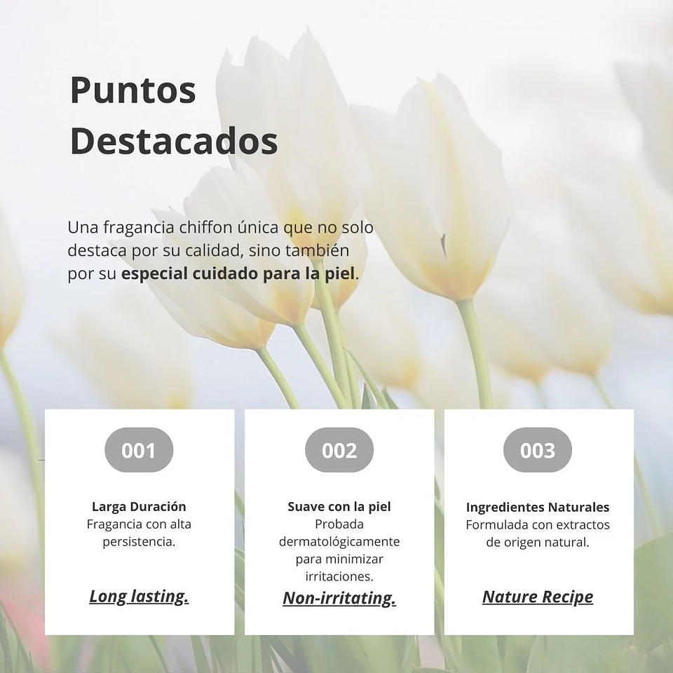 Perfume Chiffon Perfume Taylor EDP 80ml 11