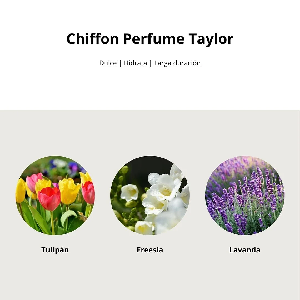 Perfume Chiffon Perfume Taylor EDP 80ml 12
