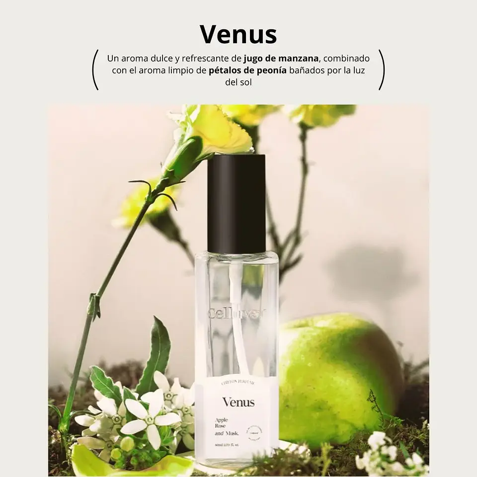 Perfume Chiffon Perfume Venus EDP 80ml 7