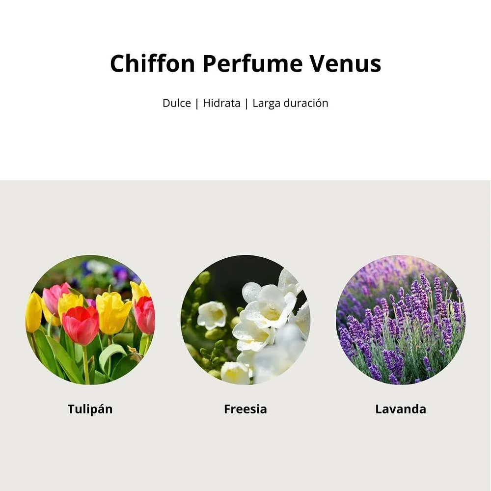 Perfume Chiffon Perfume Venus EDP 80ml