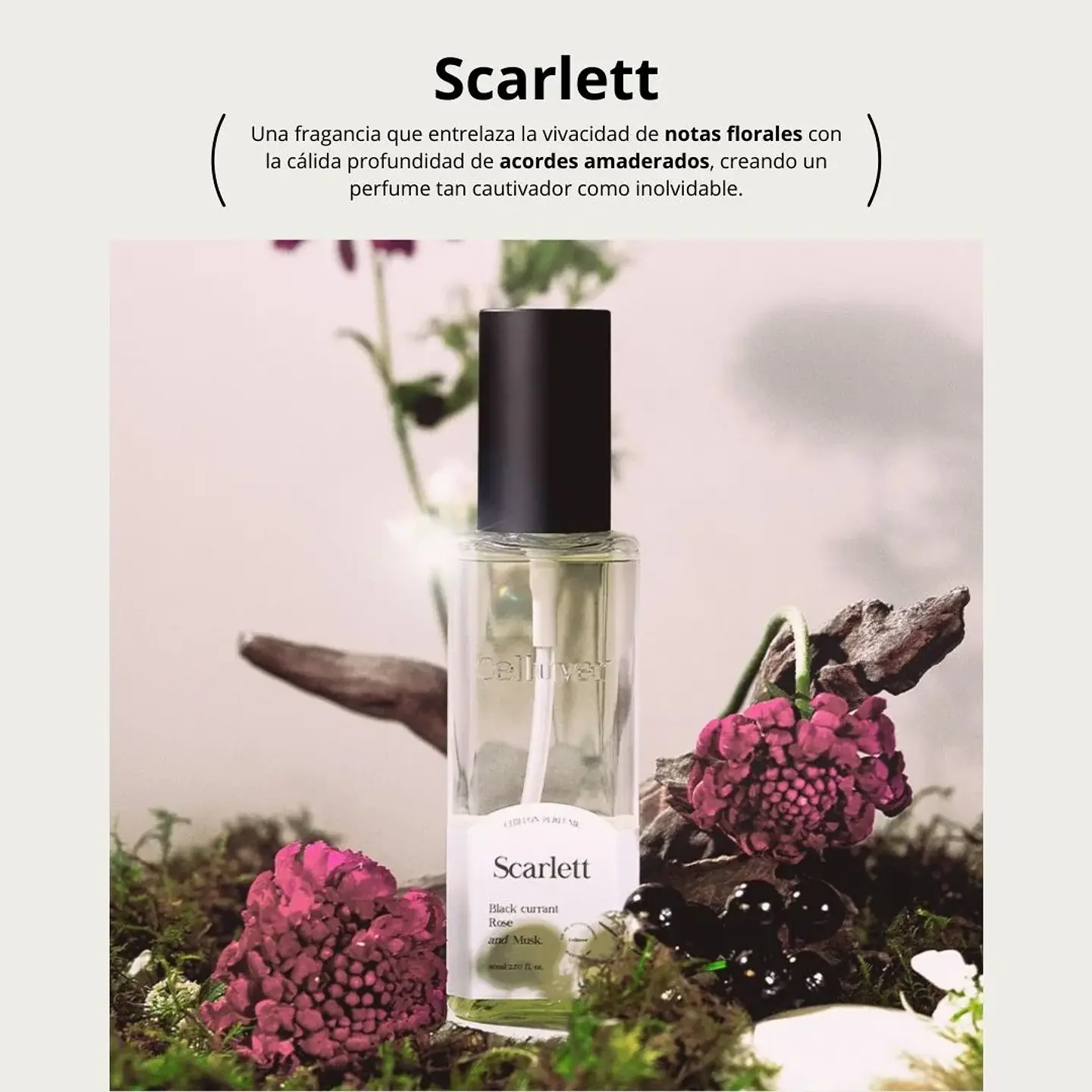 Perfume Chiffon Perfume Scarlett EDP 80ml 9