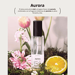 Perfume Chiffon Perfume Aurora EDP 80ml