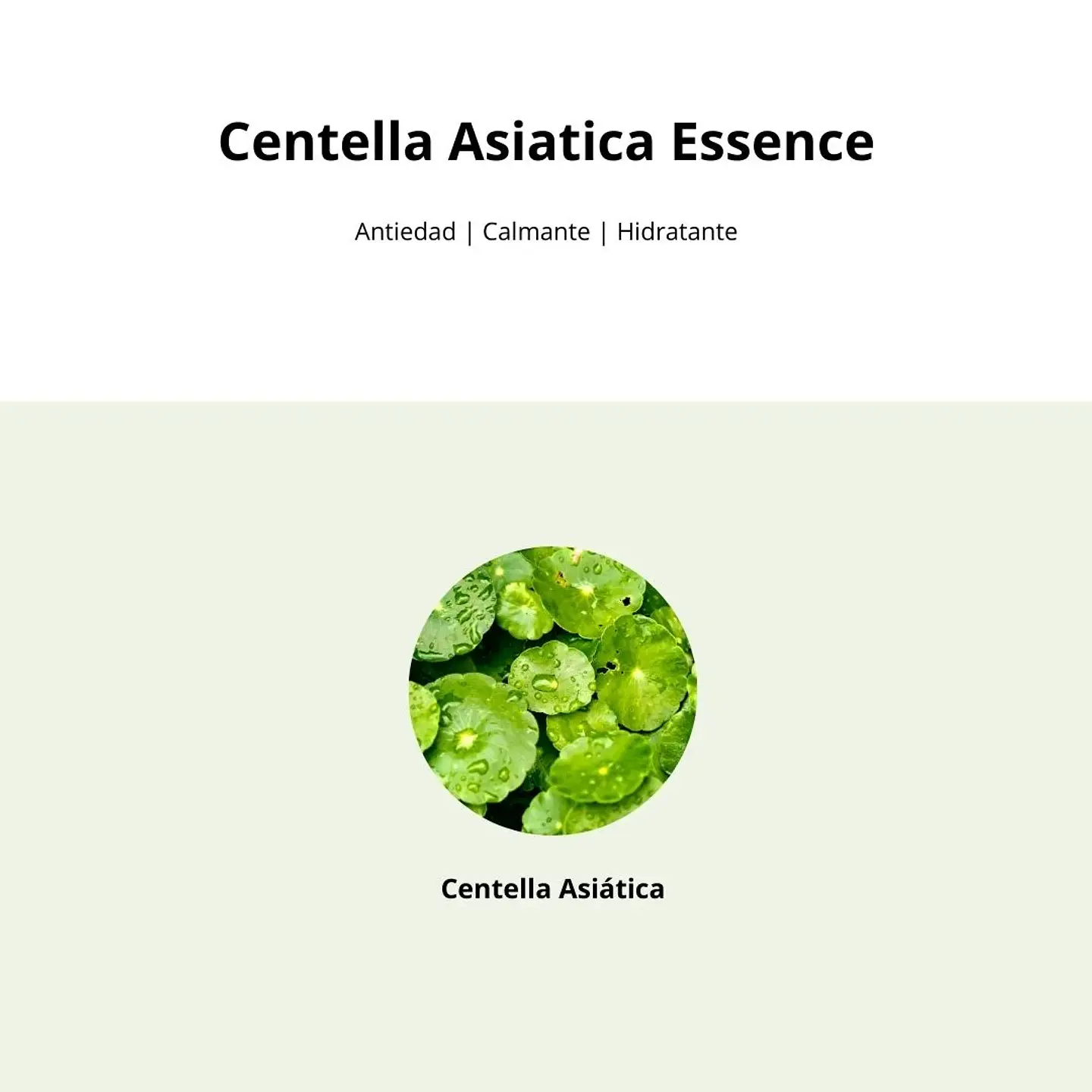 Esencia Soondy Centella Asiatica Essence 100ml 8