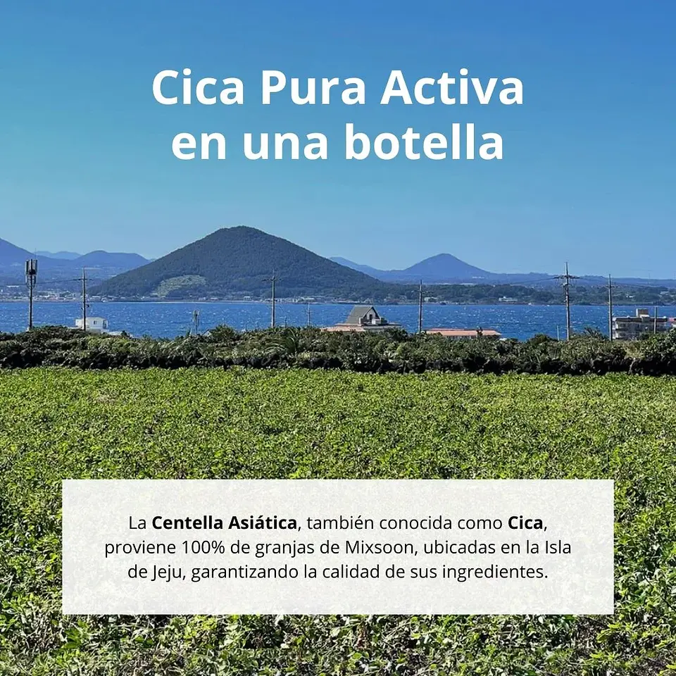 Esencia Soondy Centella Asiatica Essence 100ml 9