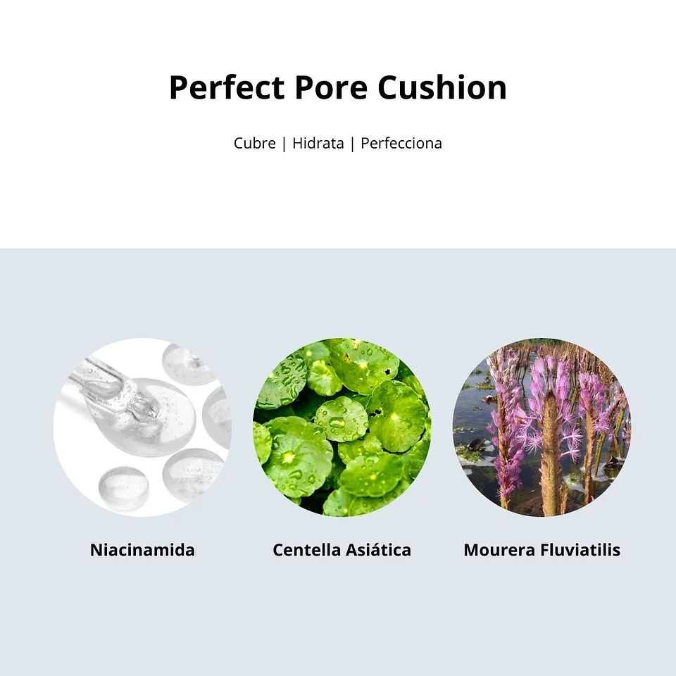 Cushion Perfect Pore Cushion 01 Light Beige 9