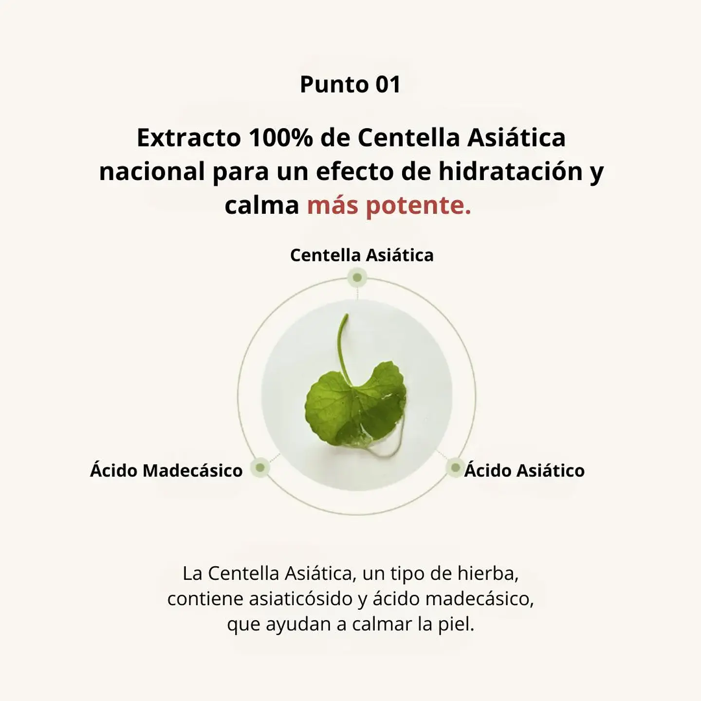 Tónico Centella Asiatica Extract Toner 150 ml 9