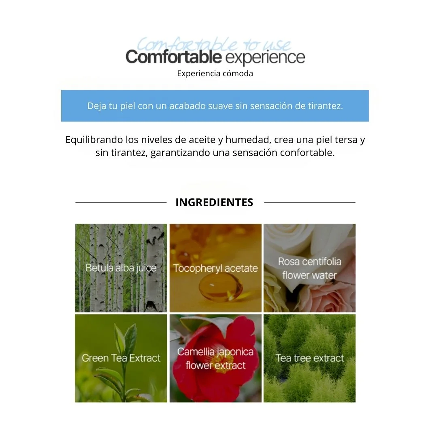 Compacto Perfect Pore Pact 12g 8