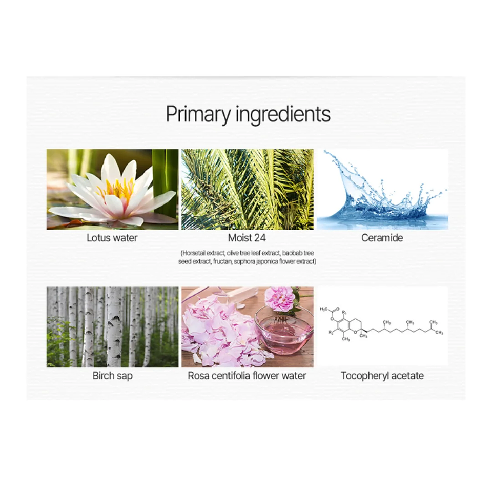 BB Cream Perfect Pore BB Cream 01 Light Beige 3