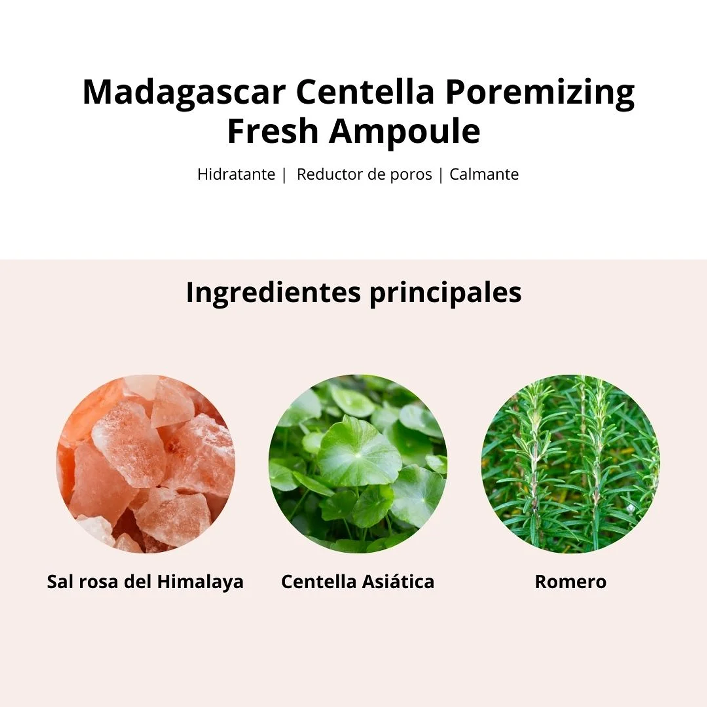Sérum Madagascar Centella Poremizing Fresh Ampoule 100ml 4