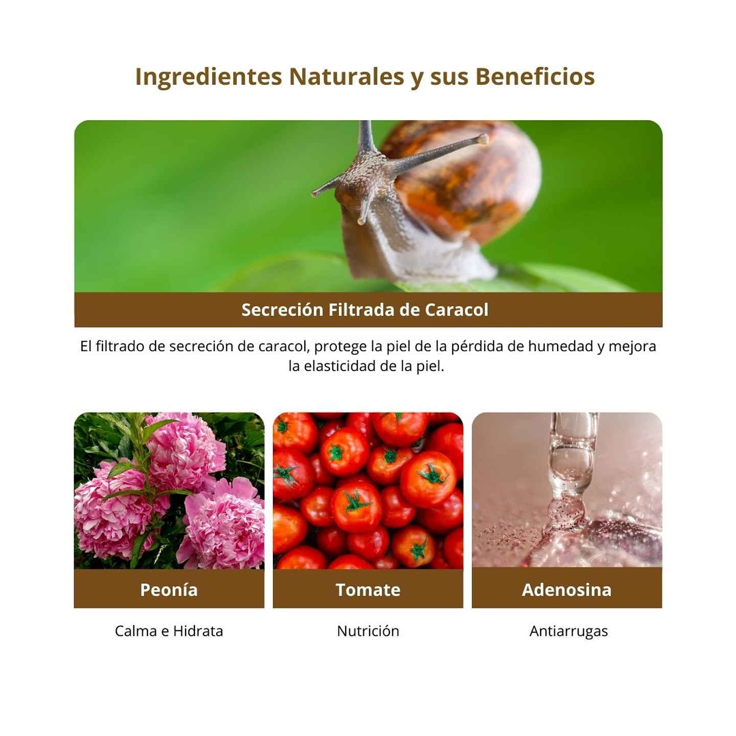 Crema Wrinkle Snail System Cream 50ml 8