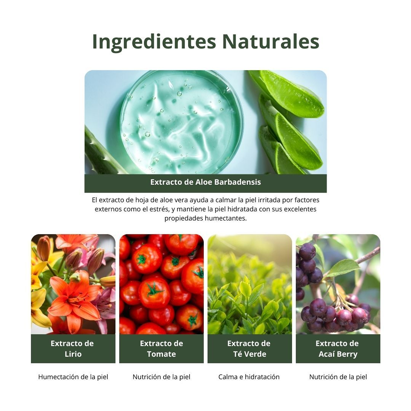 Tónico Natural Balancing Toner 130ml 8