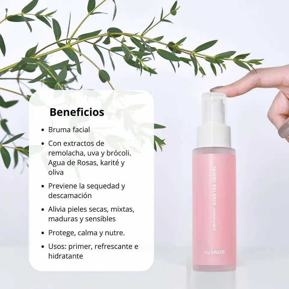 Bruma Skinny Balance Soothing Mist The Saem 75ml 2