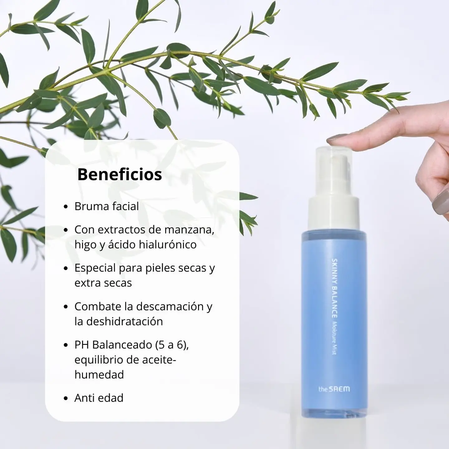 Bruma Skinny Balance Moisture Mist The Saem 75ml 2