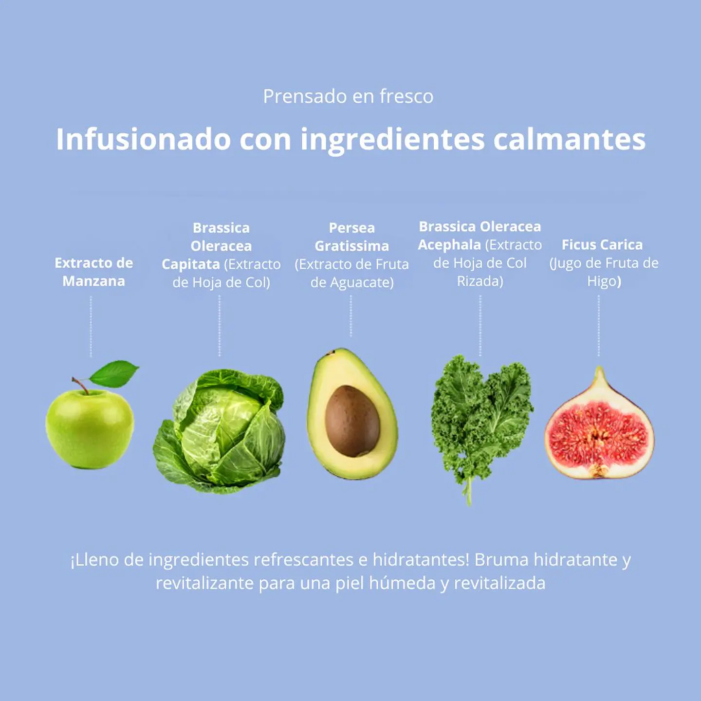 Bruma Skinny Balance Moisture Mist The Saem 75ml 5