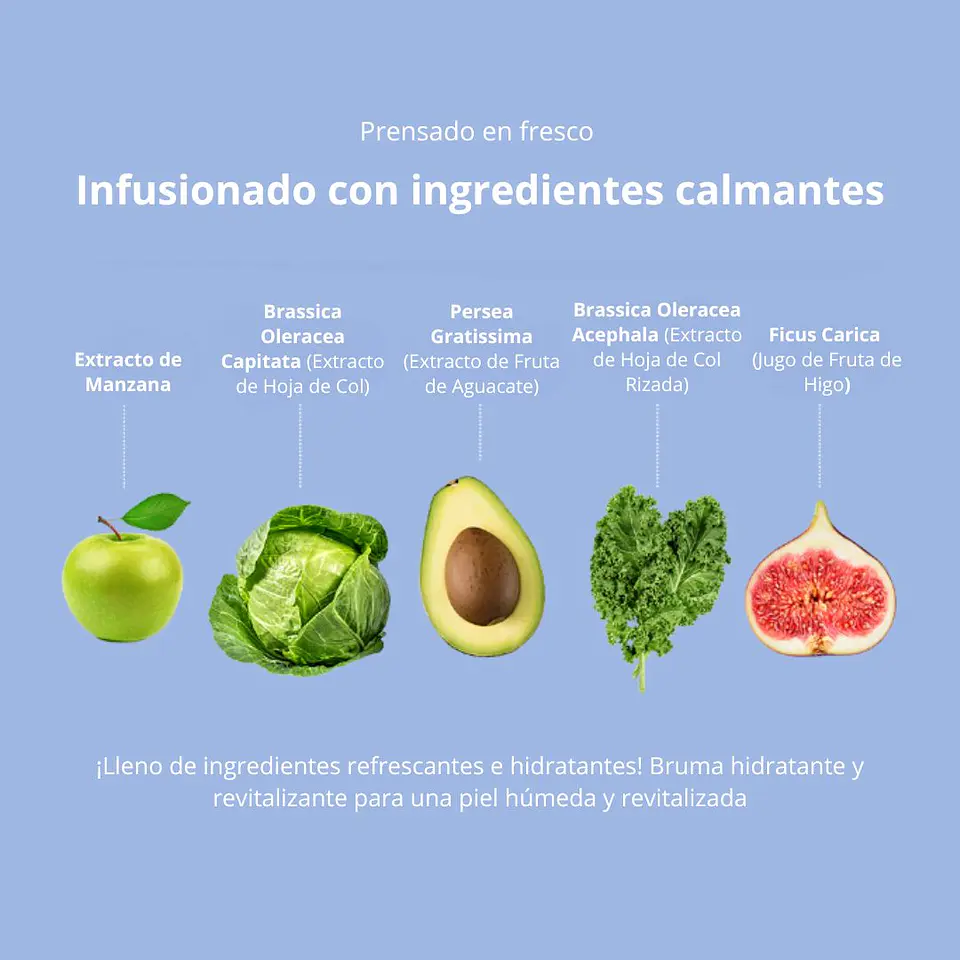 Bruma Skinny Balance Moisture Mist The Saem 75ml 5