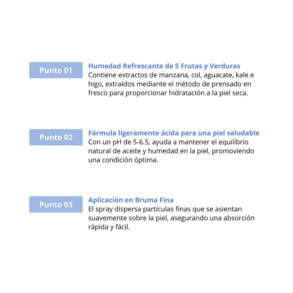 Bruma Skinny Balance Moisture Mist The Saem 75ml 7