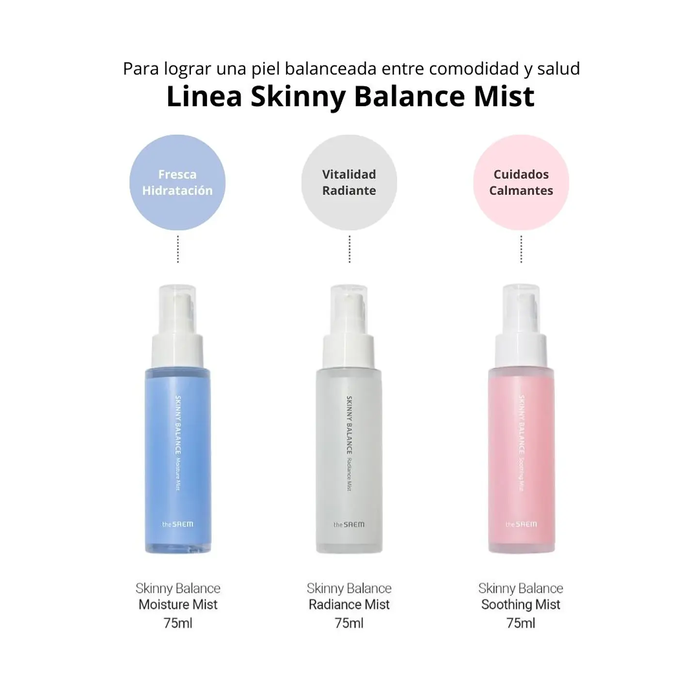 Bruma Skinny Balance Moisture Mist The Saem 75ml 10