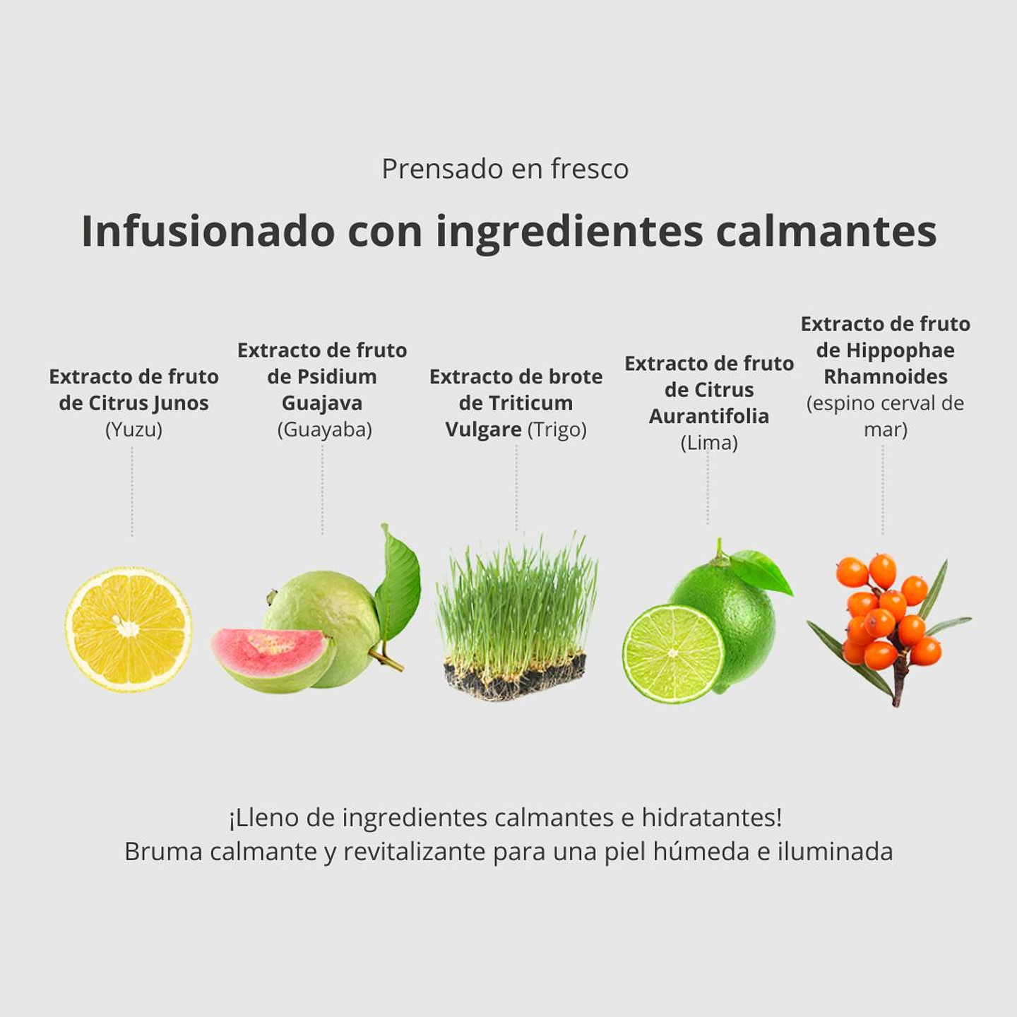 Bruma Skinny Balance Radiance Mist The Saem 75ml 5