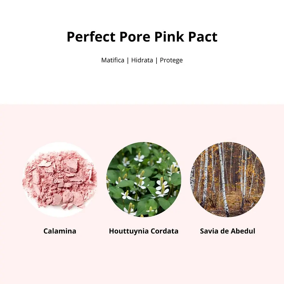 Compacto Perfect Pore Pink Pact 7