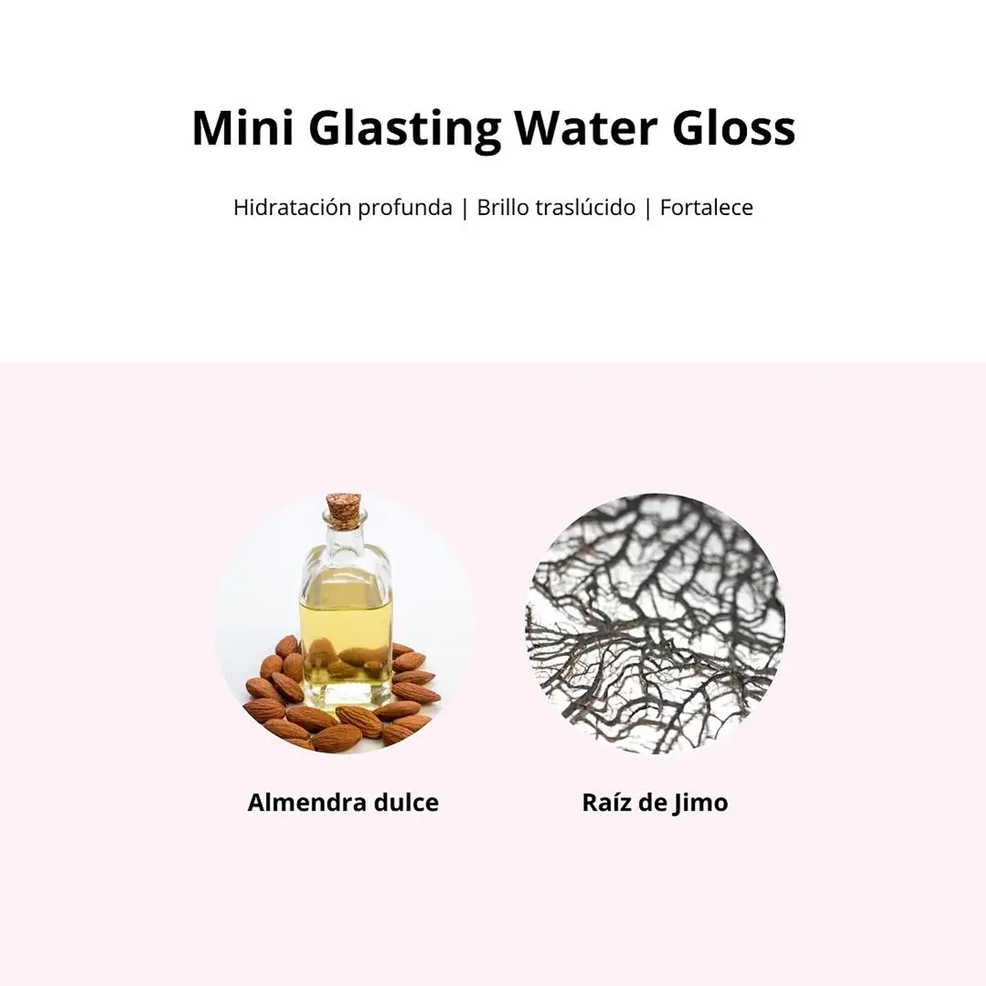 Set Básico de Cartera 7