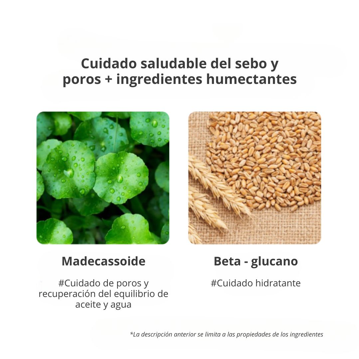 Vegan Green Mild Fresh Serum Toner 110ml 10