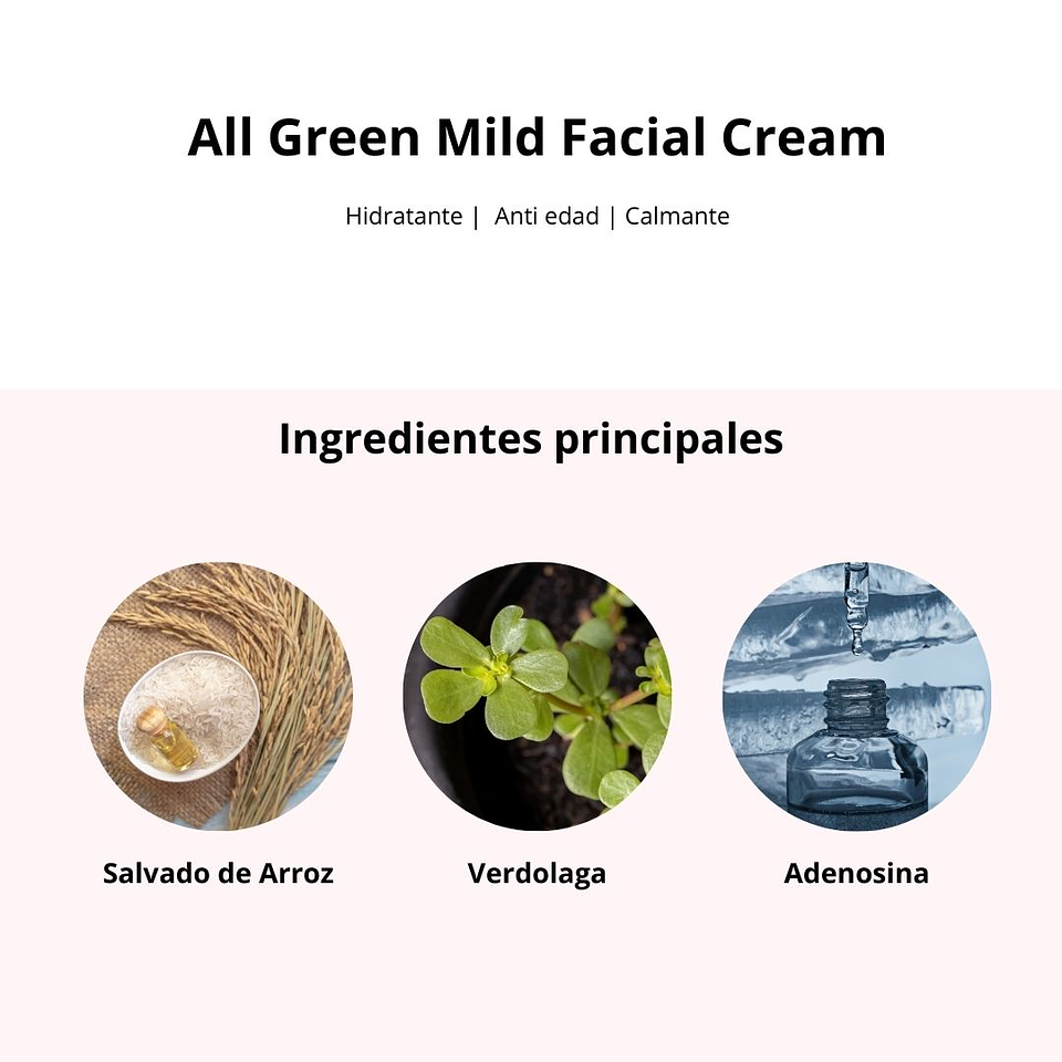 Glow Rice All Green Mild Facial Cream 60ml 5