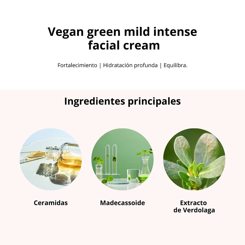 Crema Vegan Intense Barrier Ceramide & Panthenol 60ml 3