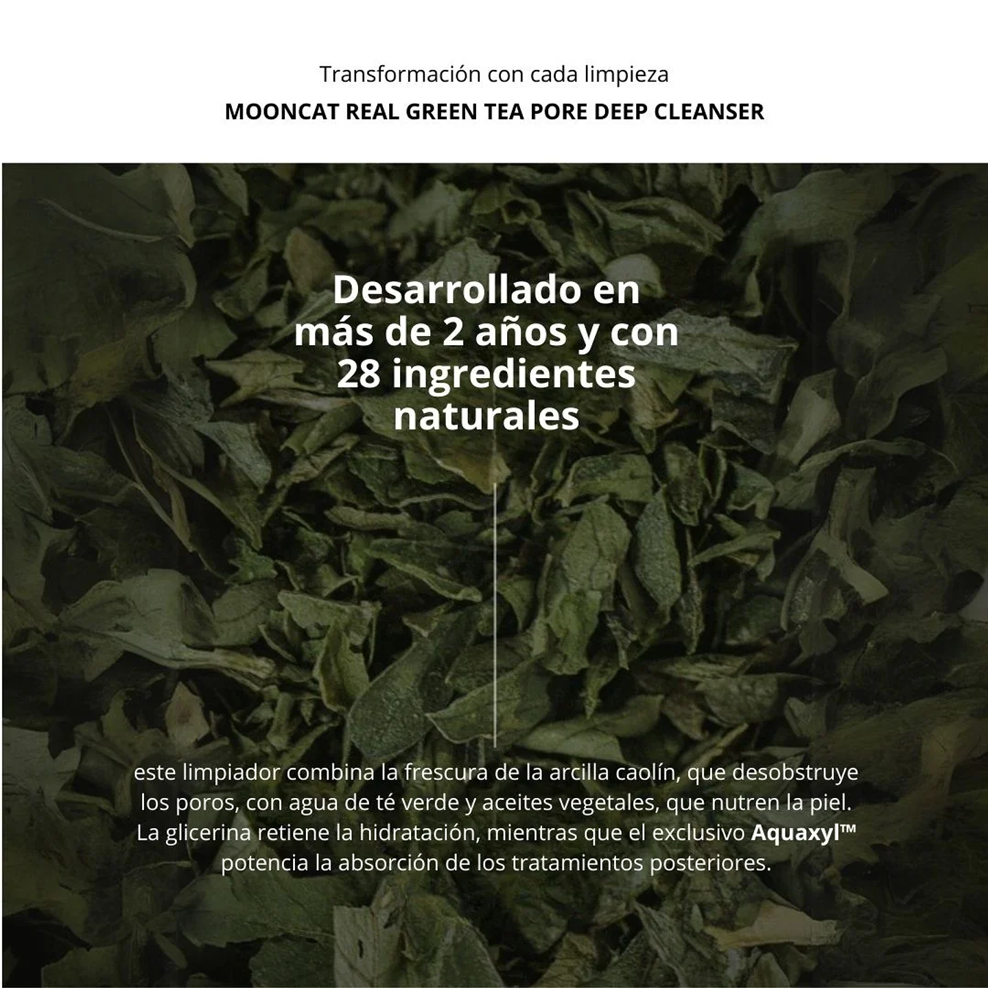 Limpiador Mooncat Real Green Tea Pore Deep Cleanser 100ml 6