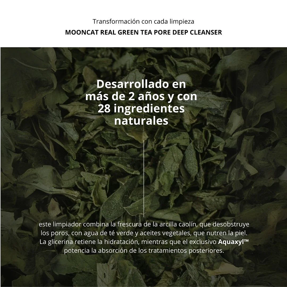 Limpiador Mooncat Real Green Tea Pore Deep Cleanser 100ml 6