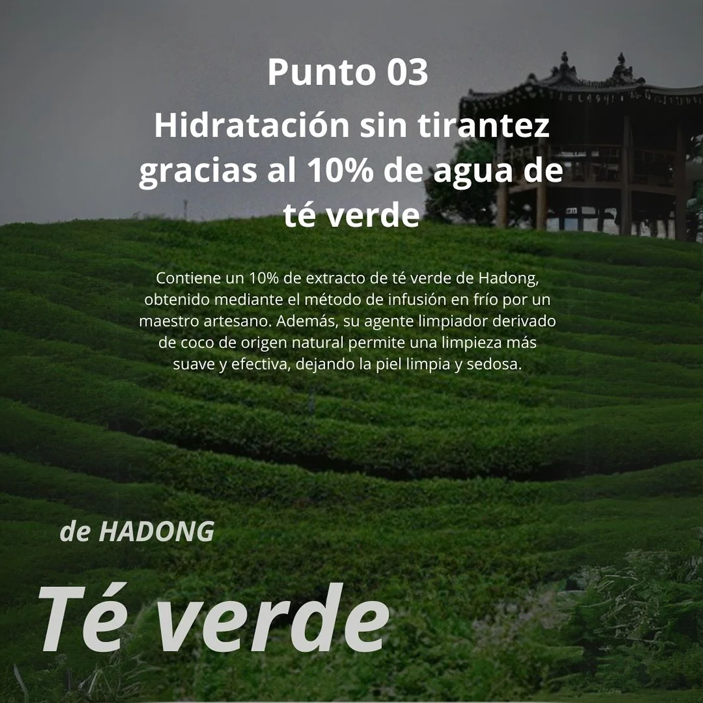 Limpiador Mooncat Real Green Tea Pore Deep Cleanser 100ml 10