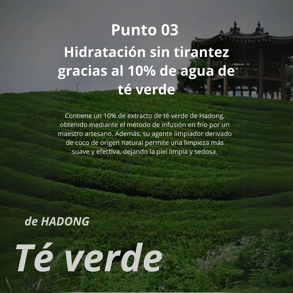 Limpiador Mooncat Real Green Tea Pore Deep Cleanser 100ml 10