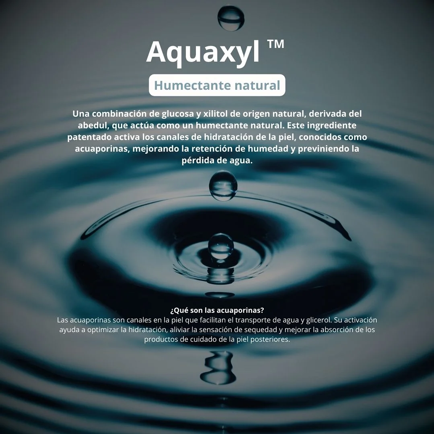 Limpiador Mooncat Real Green Tea Pore Deep Cleanser 100ml 11