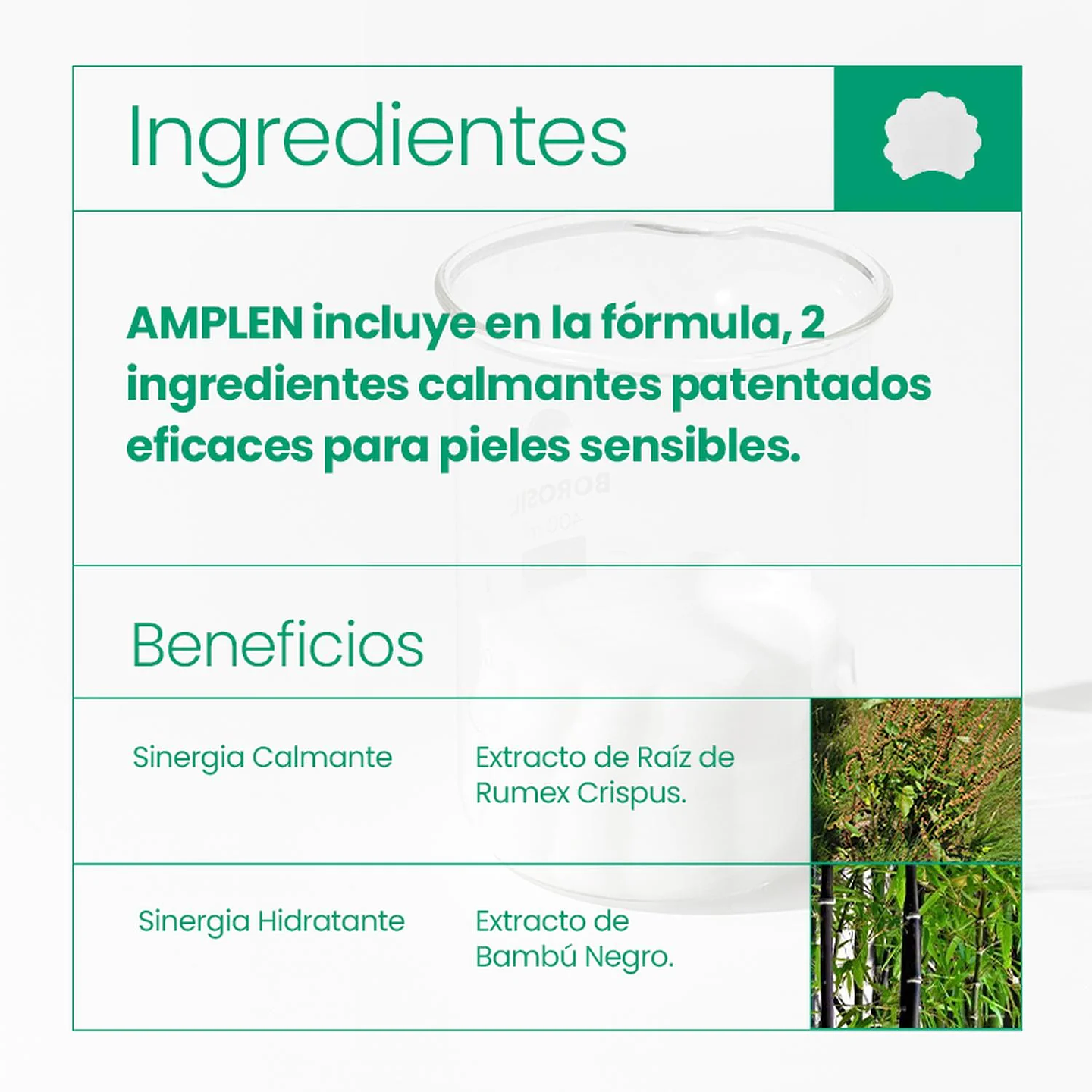 Parche Tónico Multipropósito Amplen Centella Asiática 180ml 8